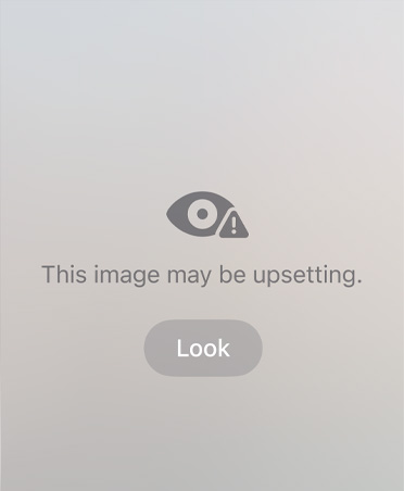 Auto-generated message to parent about the sensitive and unsafe content their child may be viewing on a video call, with options to Resume Audio and Video or End Call