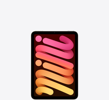 iPad mini