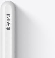 A második generációs Apple Pencil felső, lekerekített végű része látszik az Apple-logóval és a Pencil szóval.