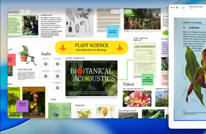 A plant science Freeform board on Mac, organized with audio, videos, and research, alongside a Preview window of a PDF, demonstrating easy productivity